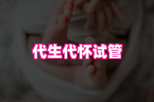 gfg孕网 3
