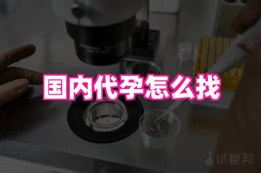 gfg孕网 4